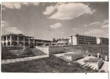 CPIB 18135 CARTE POSTALA - MANGALIA. ASPECTE DE PE FALEZA, RPR
