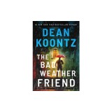 The Bad Weather Friend
