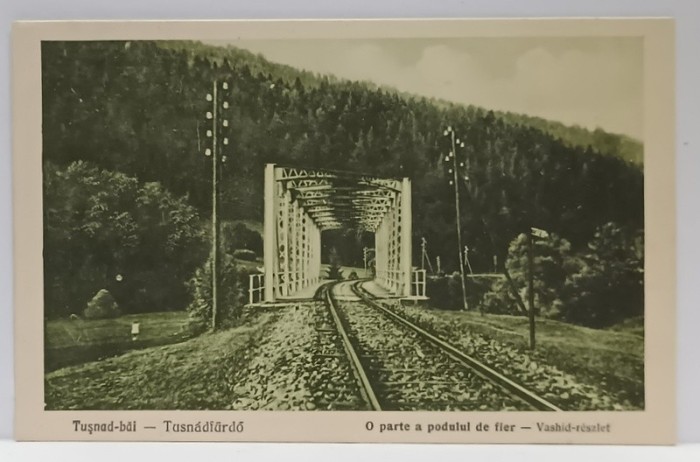 TUSNAD - BAI , O PARTE A PODULUI DE FIER , CARTE POSTALA , 1930