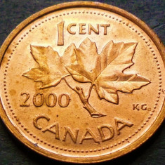 Moneda 1 CENT - CANADA, anul 2000 * cod 202 B