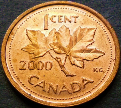 Moneda 1 CENT - CANADA, anul 2000 * cod 202 B foto