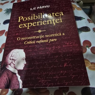 Posibilitatea experientei. O reconstructie teoretica a criticii ratiunii pure - Ilie Parvu foto