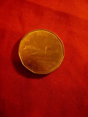 Moneda 1$ Canada 1989 ,bronz .cal.f.buna foto
