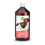 Ulei de somon pentru caini si pisici 100% pur Sanct Bernhard 1000 ml