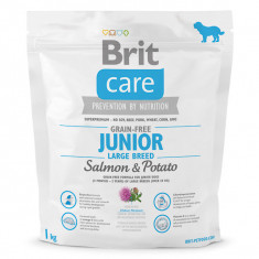 Brit Care Gain-Free Junior Large Breed, L-XL, Somon și Cartof, hrană uscată fără cereale câini junior, piele & blană, 1kg