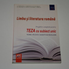 Limba si literatura romana -Teza cu subiect unic - Costache - Carstocea