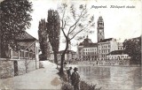 CP1058N Nagyv&aacute;rad, K&ouml;r&ouml;sparti r&eacute;szlet, carte poștală, Oradea