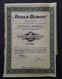 Actiune rara Brasov 1925 Apa Perla - Bodoc , actiuni , titlu