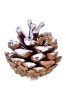 Set 20 conuri brad ornamentale de Craciun, Leoaica, 5 cm