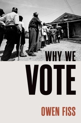 Why We Vote foto