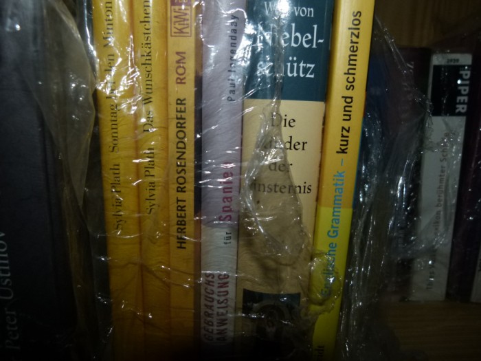 Gabrauchsanweisung fur Spanien