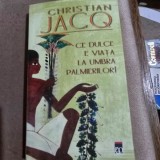 Ce dulce e viata la umbra palmierilor! - Christian Jacq