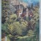 Carte postala, Sinaia, vedere spre Castelul Peles, perioada interbelica
