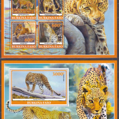 DB1 Fauna Burkina Faso Pantera MS + SS MNH