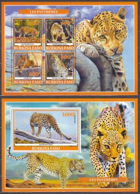 DB1 Fauna Burkina Faso Pantera MS + SS MNH foto