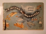 Gianni Rodari - Ce miros au meseriile (ilustrații de Maria Constantin; 1957) (uzată, vezi descriere)
