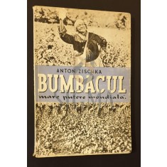 Bumbacul, marea putere mondiala * Lupta pentru puterea mondiala a bumbacului