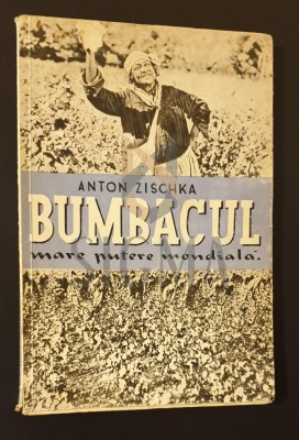 Bumbacul, marea putere mondiala * Lupta pentru puterea mondiala a bumbacului foto