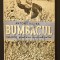Bumbacul, marea putere mondiala * Lupta pentru puterea mondiala a bumbacului
