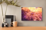 Tablou Canvas, "Clovn printre tentaculele anemonelor vii", Corali, Pești, Anemone, Subacvatic, Colorat, Vibrant, Acvatic, Oceanic, 39 x 26 cm, CMCLASS