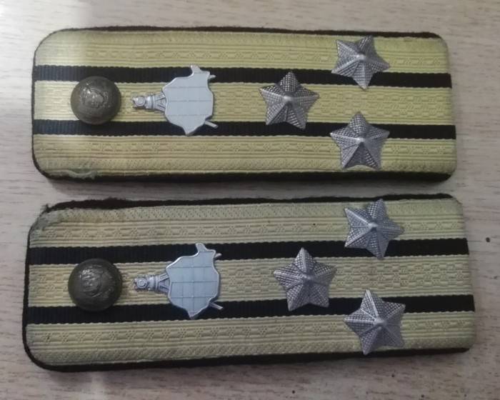 C1 10 - Grade militare - veston - comunism RSR - colonel topografie militara