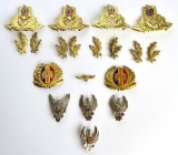 Lot 19 efecte militare de ofiter tehnic de aviatie militara RSR - cucuri, insigne, petlite