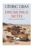 Drumurile setei. Calatorie la izvoarele Marii Aral - Giuliano Sfichi, Cedric Gras