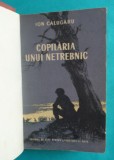 Ion Calugaru &ndash; Copilaria unui netrebnic