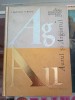 Aurul și Argintul