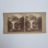 Fotografie de colectie stereoscopica, Peisaj cu parc, Anglia, Marea Britanie, UK, Europa, ca. 1890