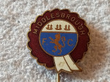 Insigna metalica fotbal - MIDDLESBROUGH FC (Anglia)