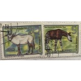 (B ) Timbre serii Straine tema Animale DDR