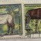 (B ) Timbre serii Straine tema Animale DDR