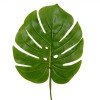 Frunză Artificială, Verde, 55cm, Oem