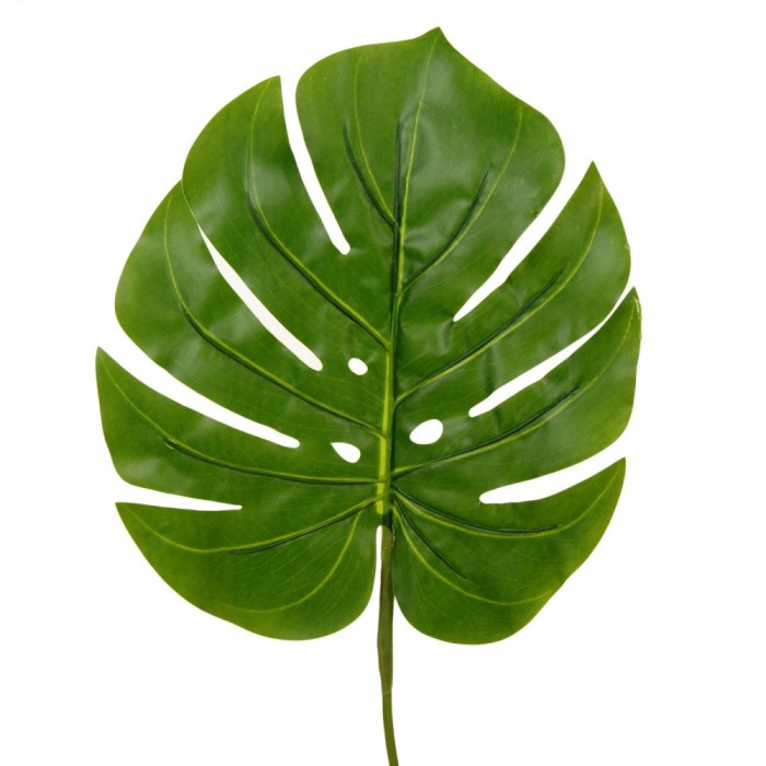 Frunză Artificială, Verde, 55cm