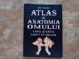 Ion Pasat - Atlas de Anatomia Omului. Capul si gatul, 1995
