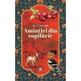 Amintiri din copilarie - Ion Creanga, Creator-Libris
