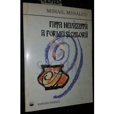 FATA NEVAZUTA A FORMEI SI CULORII