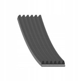 Febi Bilstein Curea transmisie cu caneluri