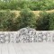 vidaXL Coșuri gabion arcuite 6 buc, 200x30x60/80 cm, fier galvanizat 3146072