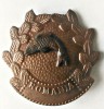 INSIGNA AGVPS PESTE SPRE STANGA TABLA AMBUTISATA VANATOARE PESCUIT AJVPS AVPS, Romania de la 1950