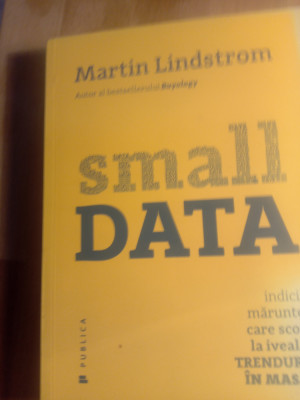 Small data,martin lindstrom foto