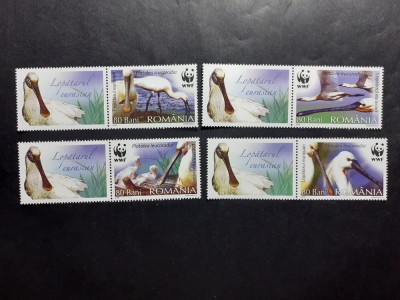 2006 - Pasari protejate - Lopatarul eurasian, WWF - LP1744a foto