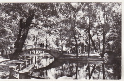 bnk cp Botosani - Parcul M Eminescu - uzata foto