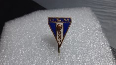 insigna CSM Lugoj foto