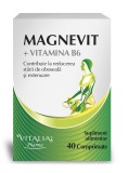 MAGNEVIT+VITAMINA B6 40CPR, VITALIA PHARMA