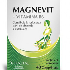 MAGNEVIT+VITAMINA B6 40CPR