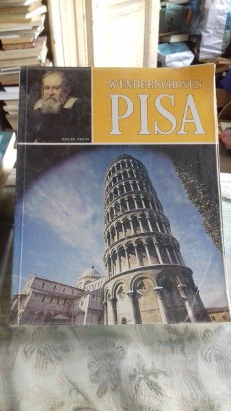 Wunderschones Pisa - G. Barsali, U. Castelli (MINUNATA PISA)