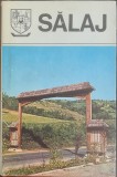 SALAJ. Monografie (Judetele Patriei)