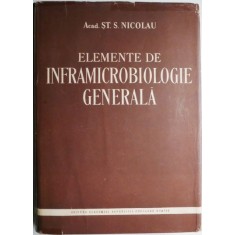 Elemente de inframicrobiologie generala &ndash; St. S. Nicolau (cateva sublinieri)
